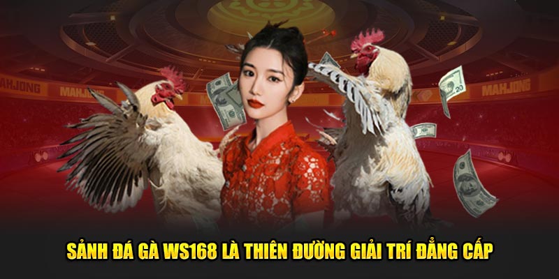 Sảnh đá gà WS168 là thiên đường giải trí đẳng cấp