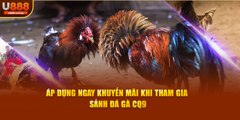 Áp dụng ngay khuyến mãi khi tham gia sảnh đá gà CQ9