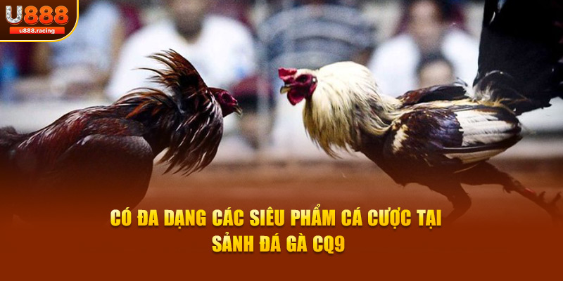 Có đa dạng các siêu phẩm cá cược tại sảnh đá gà CQ9