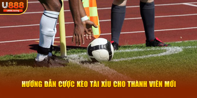 Hướng dẫn cược kèo tài xỉu cho thành viên mới