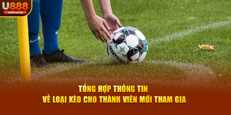 Tổng hợp thông tin về loại kèo cho thành viên mới tham gia